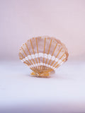 San Clemente Scallop Seashell Hair Clip