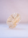 Del Mar Seashell Hair Clip