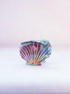 San Diego Scallop Seashell Hair Clip