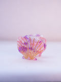 San Diego Scallop Seashell Hair Clip
