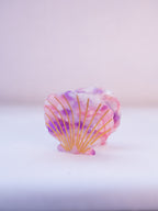 San Diego Scallop Seashell Hair Clip