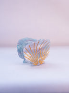 San Diego Scallop Seashell Hair Clip