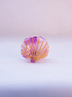 Kids Scallop Seashell Hair Clips
