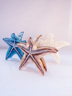 Swami's Starfish Hair Clip