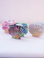 San Diego Scallop Seashell Hair Clip