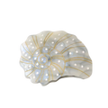 Spiral Shell Hair Clip