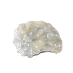 Spiral Shell Hair Clip