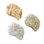 Spiral Shell Hair Clip