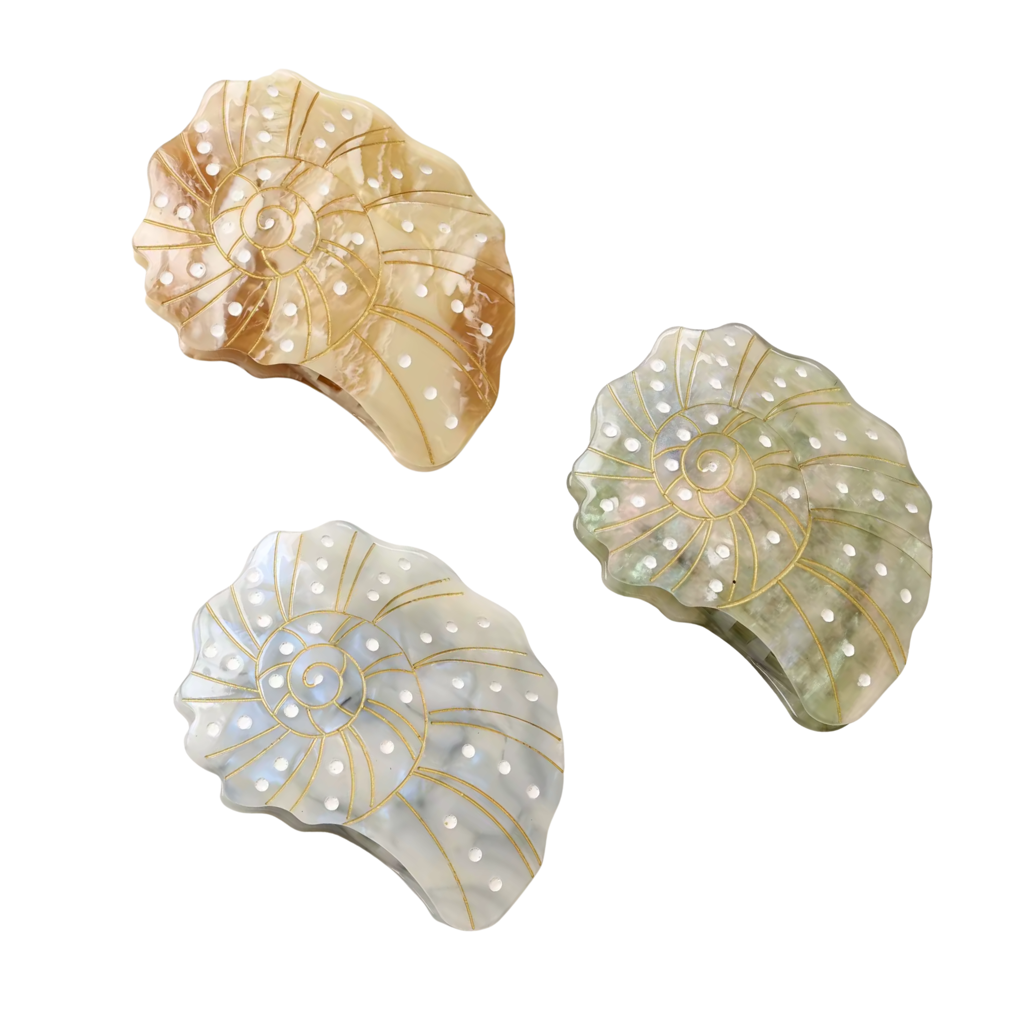 Spiral Shell Hair Clip