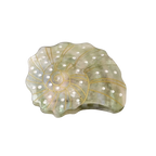 Spiral Shell Hair Clip