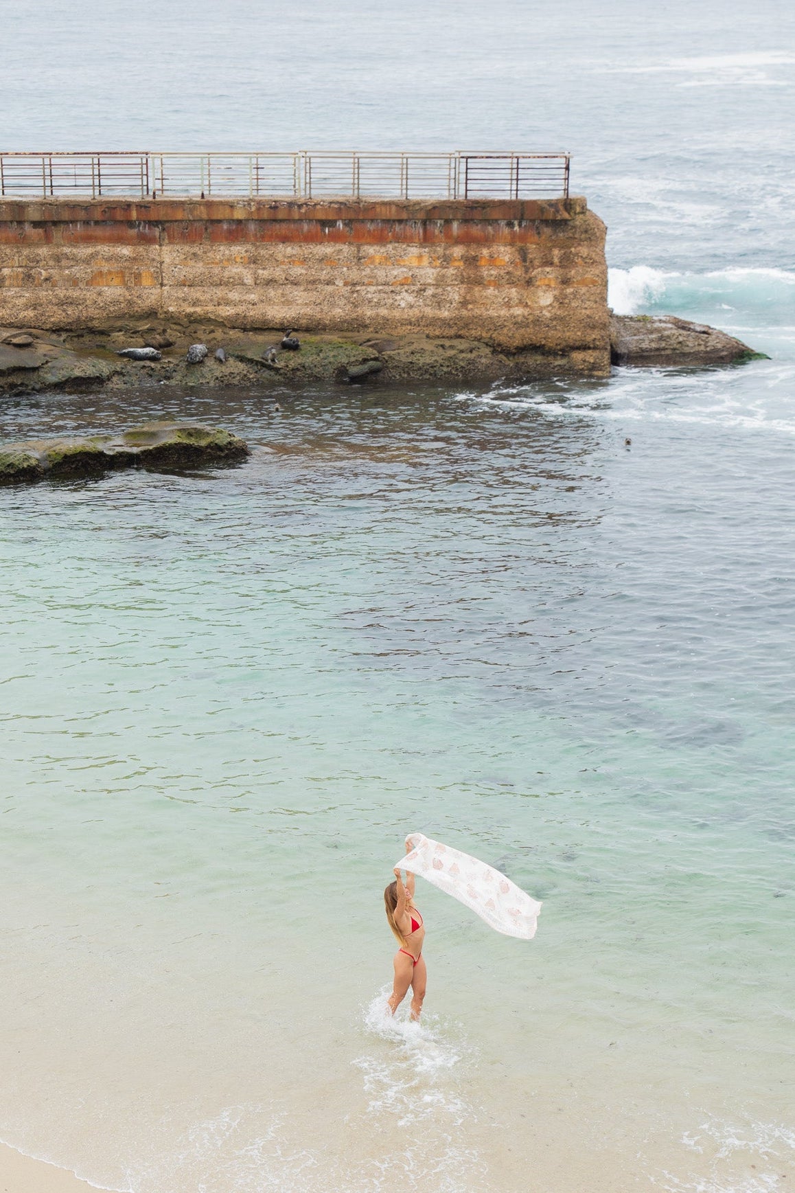 Hand-Drawn Seashell Sarong, Sand