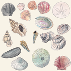 Seashell Bag