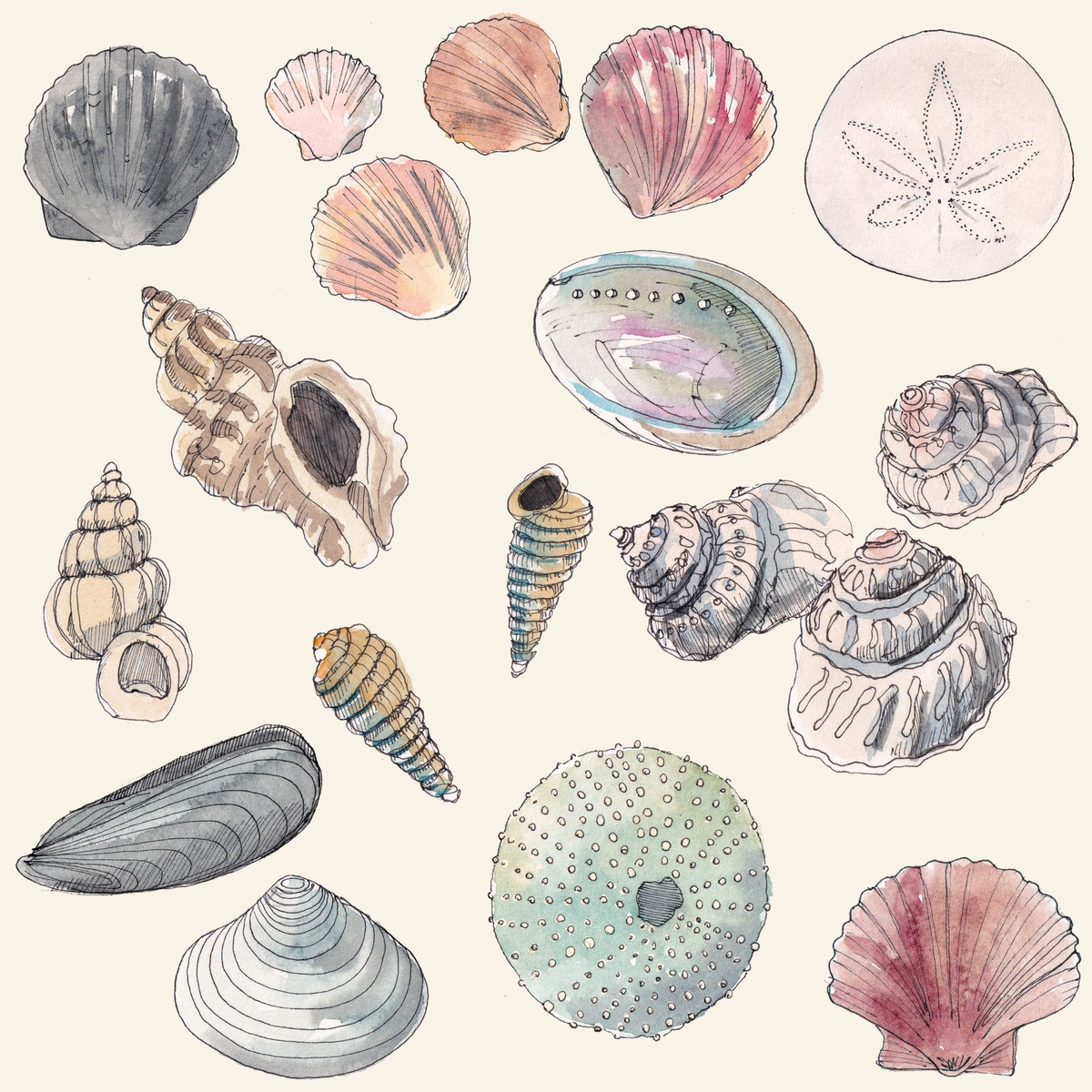 Seashell Bag