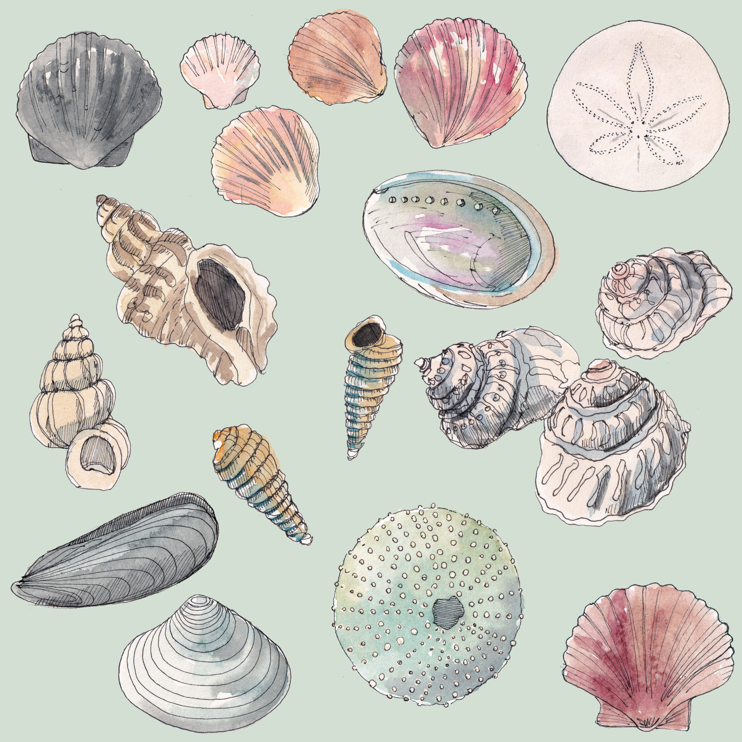Seashell Bag